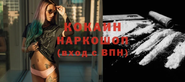 прущий лед Алзамай