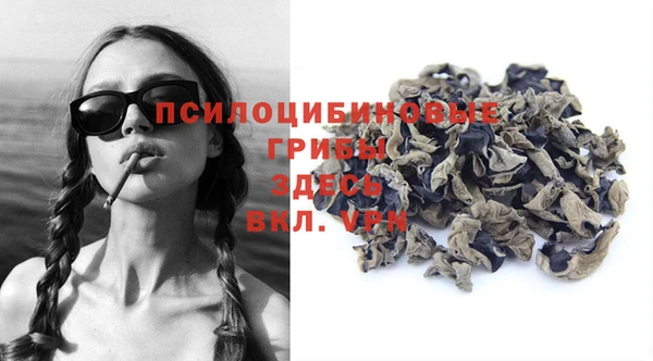 прущий лед Алзамай