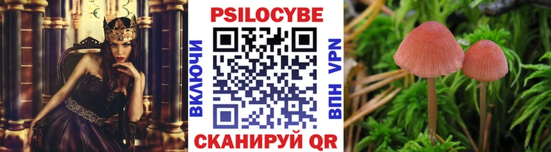ОМГ ОМГ рабочий сайт  Нижнекамск  Галлюциногенные грибы прущие грибы 