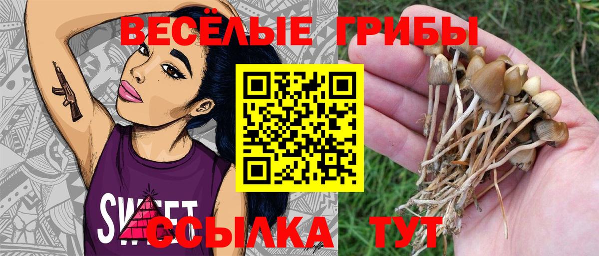 купить наркоту  Галлюциногенные грибы Psilocybe  Псилоцибиновые грибы мухоморы  Вход с VPN  Нижнекамск 