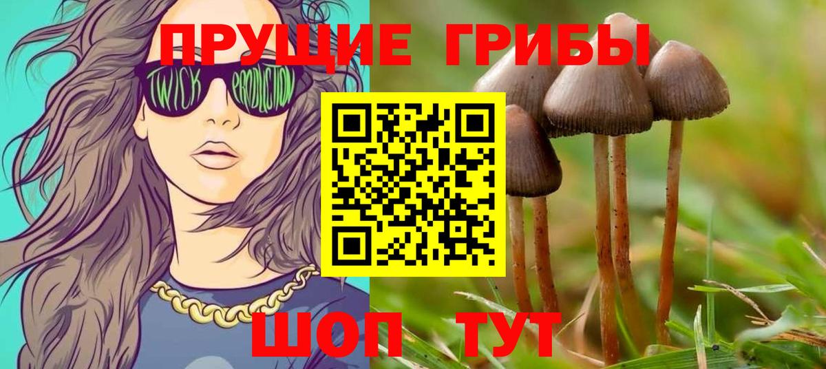 Псилоцибиновые грибы Magic Shrooms Нижнекамск